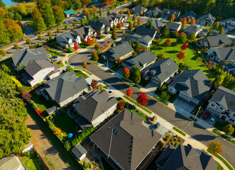 A residential neighborhood with houses and trees