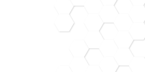 Abstract white background with hexagon and hexagonal background. Luxury white pattern with hexagons. abstract 3d hexagonal background with shadow. 3D futuristic abstract honeycomb mosaic background.