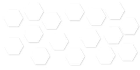 Abstract white background with hexagon and hexagonal background. Luxury white pattern with hexagons. abstract 3d hexagonal background with shadow. 3D futuristic abstract honeycomb mosaic background.