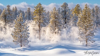 Fototapeta premium Snow-draped trees in a winter forest, with mist swirling between the trunks, creating a mystical and serene atmosphere.