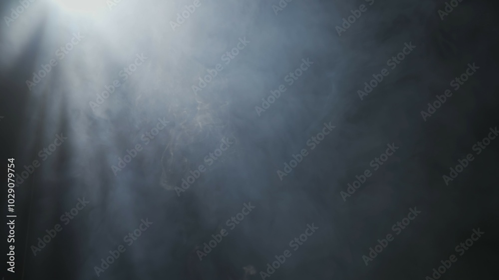 Wall mural soft diffused rays of light cut through the hazy darkness.