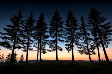 Fototapeta premium Simple silhouette of a European forest at dusk, with tall, slender trees standing against a soft gradient sky, creating a peaceful and magical atmosphere