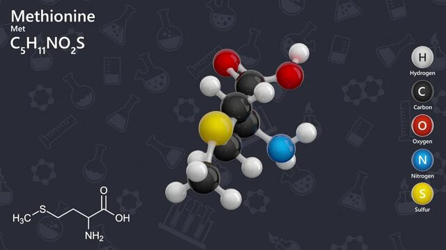 Methionine (C5H11NO2S), a sulfur containing amino acid that is important in many body functions. It acts as a precursor for important molecules, which supports liver function. Dark back. 3D render.