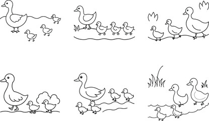 Duck Family Outing: Mom and Ducklings in a Row