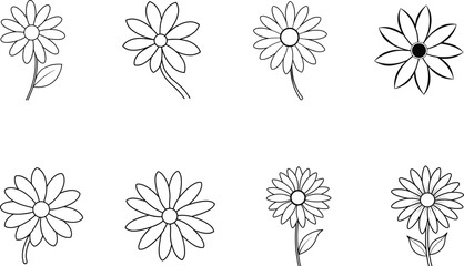 Simple Black and White Daisy Flower Illustrations