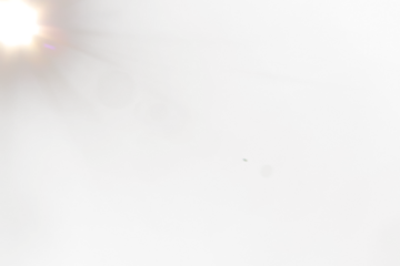 Flare Sun on transparent background,Golden Sparkling Light with Solar Flare Isolated