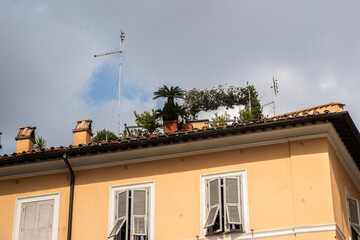 Garden on roof of old house in the center of Rome, Italy