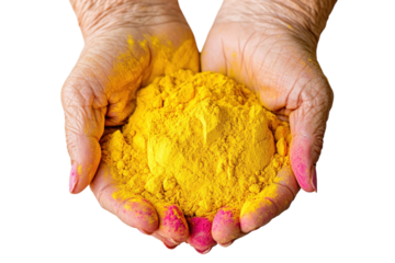 Elderly hands holding pink and yellow Holi powder, on a plain white background. PNG transparent.