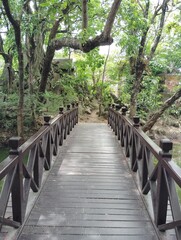 Fototapeta premium wooden bridge in the woods