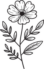 This is an illustration of flowers in a simple and modern line art style. 