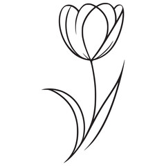 This is an illustration of flowers in a simple and modern line art style. 