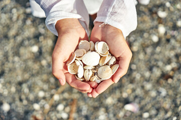 Gentle hands hold beautiful seashells found on the serene beach, basking in sunlight