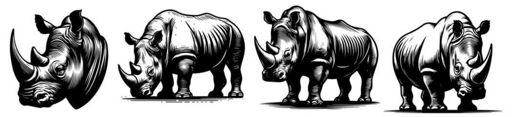 detailed rhinoceros illustrations in various poses, black vector © Luka