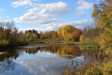 Fototapeta premium Autumn reflections in a serene pond surrounded by vibrant foliage on a clear day