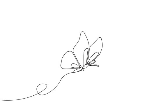 recommend clip art: Flying Butterfly line drawing continuous line art vector illustration