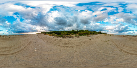 Small Amount Of Green On The Beach 