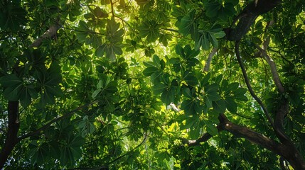 Lush green leafy tree canopy providing cooling shade and a peaceful retreat in a serene natural environment The verdant foliage filters sunlight creating a tranquil rejuvenating atmosphere
