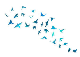 blue birds. A flock of flying blue birds. hand drawing. Not AI. Vector illustration.