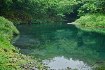 Obraz premium Tranquil river mirrors lush greenery in a serene forest setting during a misty morning