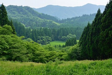 Fototapeta premium Lush green mountains with dense forests under a soft, hazy sky in a serene valley