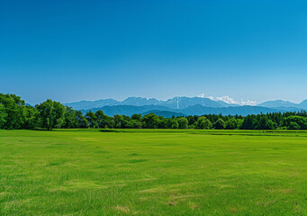 Obraz premium landscape with grass