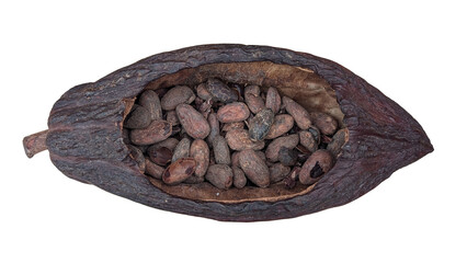 Opened Cocoa Pod with Dried Cacao Beans Isolated on Black Background