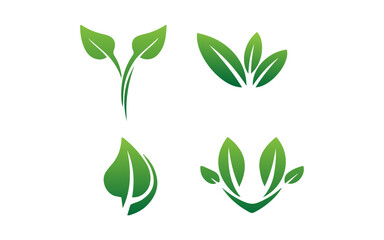 leaves natural design vector