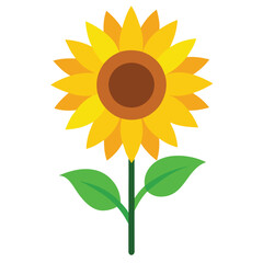 Sunflower Line Art Silhouette & Color Vector Element.
