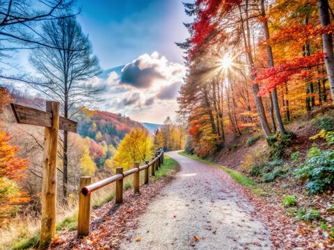 Autumn Forest Path in Upper Danube Nature Park, Baden-Wuerttemberg, Germany - Scenic Architectural Photography