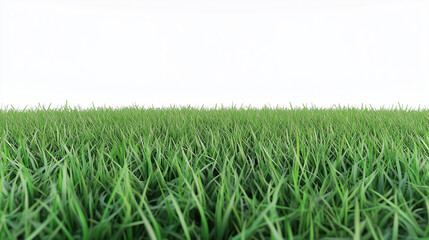 Obraz premium Beautiful grassy field with a blue sky and white clouds in the background. The green meadow is seen from above, creating an endless horizon.