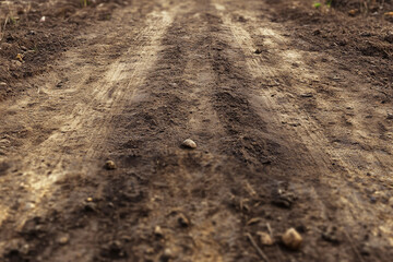 dirt road and stones 