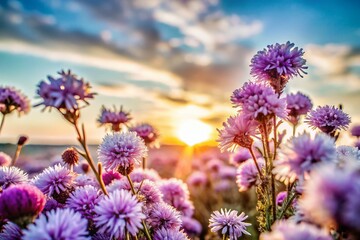 Stunning Purple Flowers in Bloom: Captivating Nature's Beauty for Your Collection