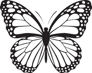 Vector illustration of butterfly on white background.