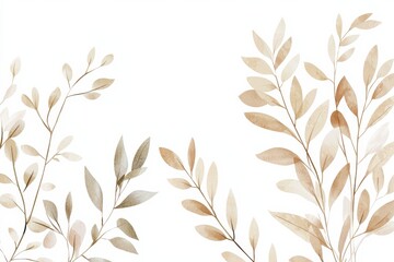 Fototapeta premium Delicate leaves on a white isolated background.