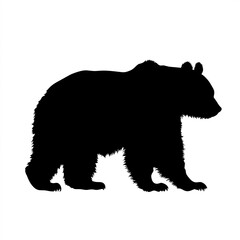 Panda Silhouette, Illustration Isolated On White Background