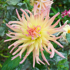 Fototapety na wymiar - Fototapeta24.pl