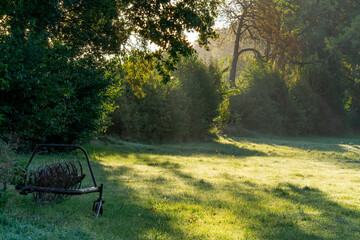 clearing in the warm colors of the rising sun, sunlight shining through the trees. rural landscape with agricultural machine on the meadow.