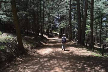 Obraz premium Il percorso per Monte Novo San Giovanni