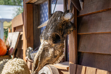 skull in front of the house and oil lamp. farm in the wild west. halloween © Adam