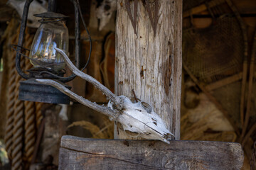 skull in front of the house and oil lamp. farm in the wild west. halloween