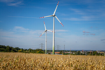 ecological windmills, turbines, ecological windmill farm in the countryside seen through a field of withered corn in autumn. beautiful autumn weather, blue sky with clouds. farmland. © Adam