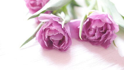 Pink tulips and cosmetics on white wooden background. Lipsticks