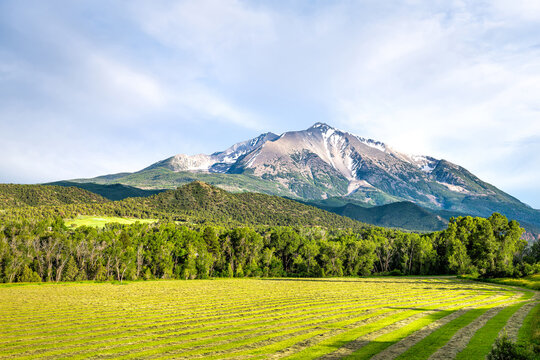 Mount Sopris mountain peak with snow in Carbondale, Colorado with grass farm ranch field, open pasture field in Roaring Fork Valley