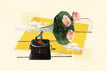 Composite trend artwork sketch image photo collage of fragment obsolete dance gramophone listen music carefree party spring flower rose