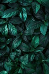 Closeup of fresh green leaves natural beauty background texture