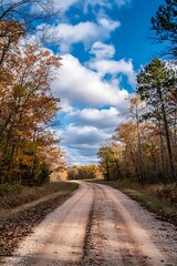 Fototapeta premium Winding Dirt Road Through Autumn Forest Under Blue Sky