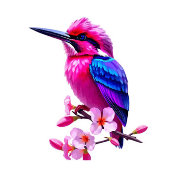 recommend clip art: Colorful vector kingfisher water color illustration for logo and illustration.. A colorful, abstract bird with vibrant pink, blue, and purple fur sitting against a white background