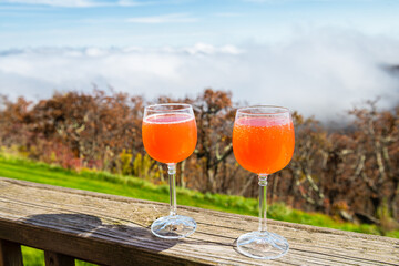 Two glasses of Italian drink bottle carbonated blood orange grapefruit soda, Blue Ridge mountains at Wintergreen Resort, Virginia