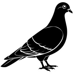 Pigeon silhouette vector illustration