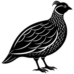 Quail silhouette vector illustration